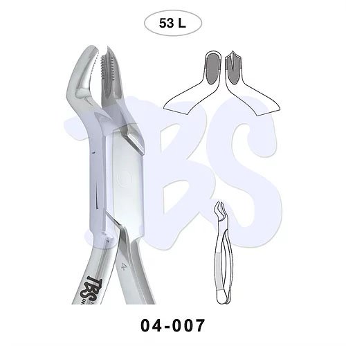 FORCEP P/EXTRACCION #53L