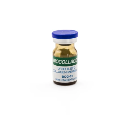 MEMBRANA BIOCOLAGENO 25X25X0.2 BIOTECK