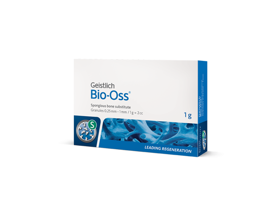 HUESO BIO-OSS GRANU.25-1mm 1gr (2cc)