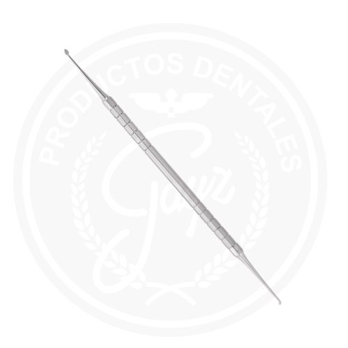 CLEOIDE DISCOIDE UNION