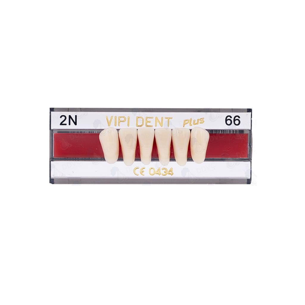 VIPI DENT 2N ANT INF C-66