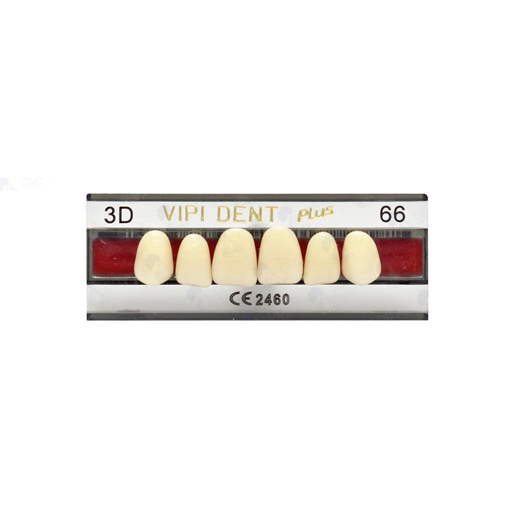 VIPI DENT 3D ANT SUP C-66