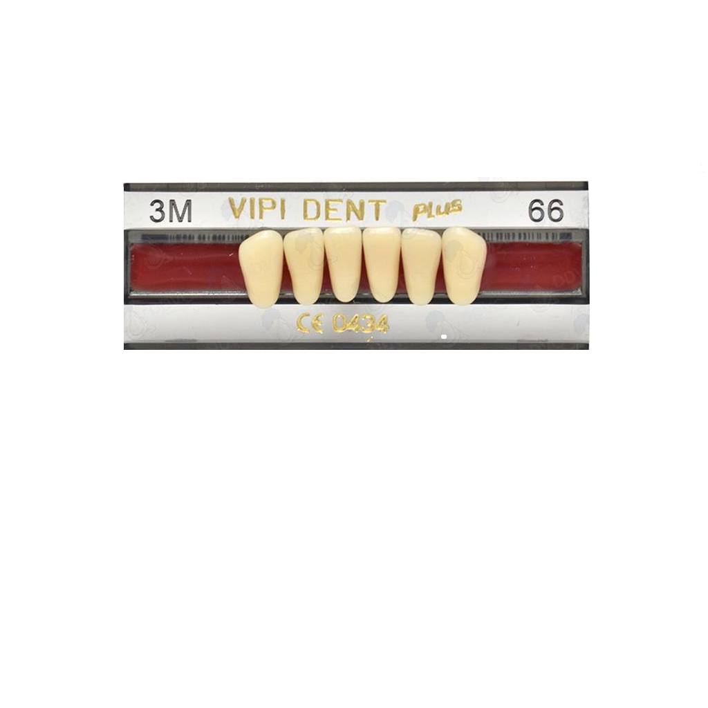 VIPI DENT 3M ANT INF C-66