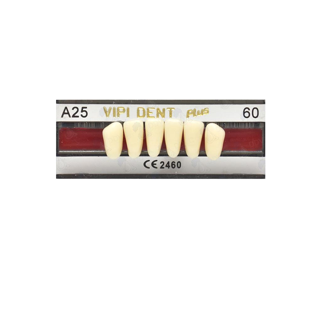 VIPI DENT A25 ANT INF C-60