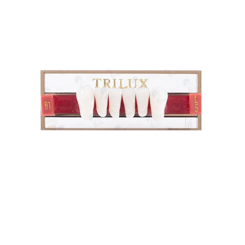 TRILUX VITA L5 INF B1