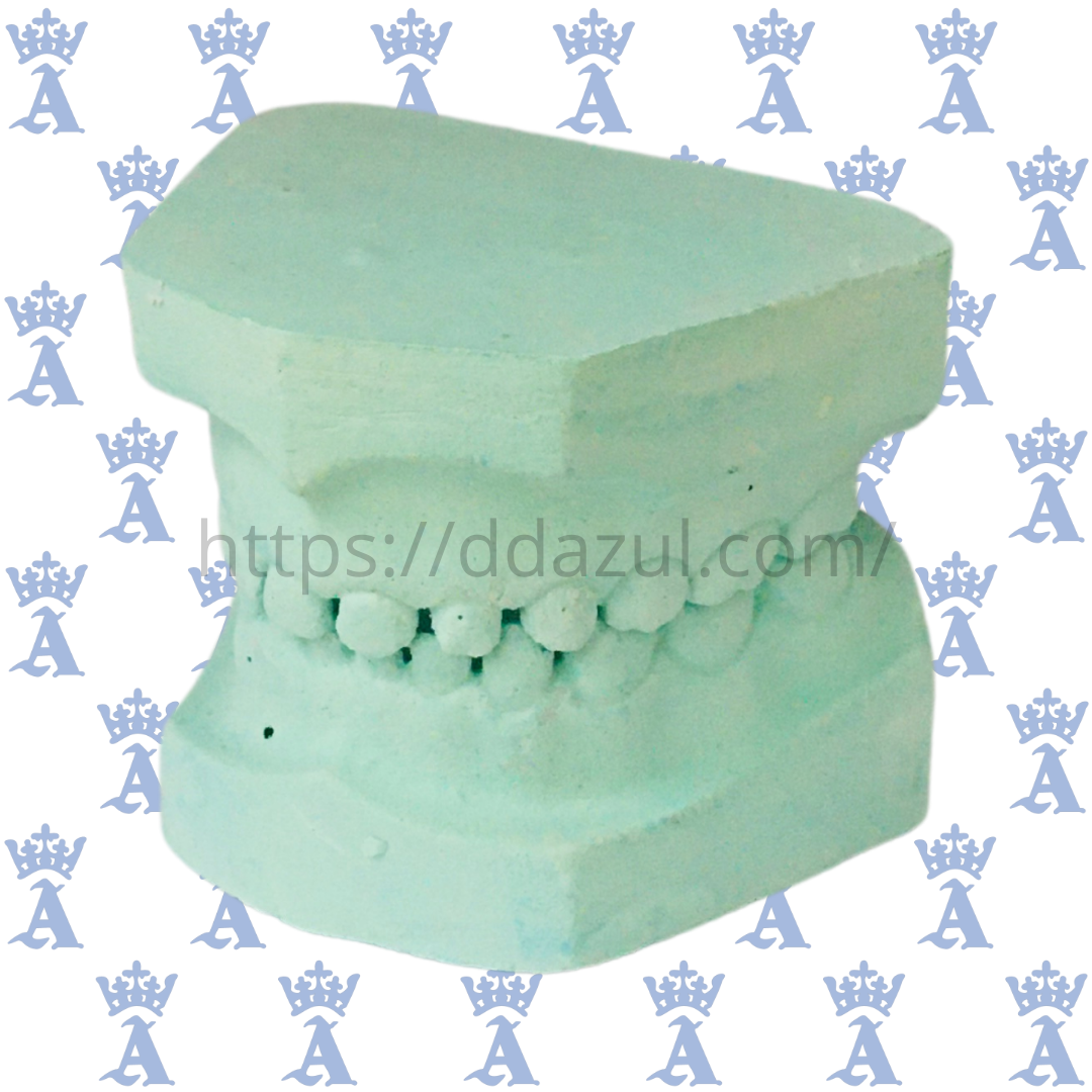 MODELO DE YESO INFANTIL COLORES