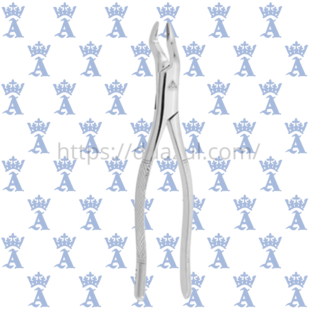 FORCEP ADULTO 10S