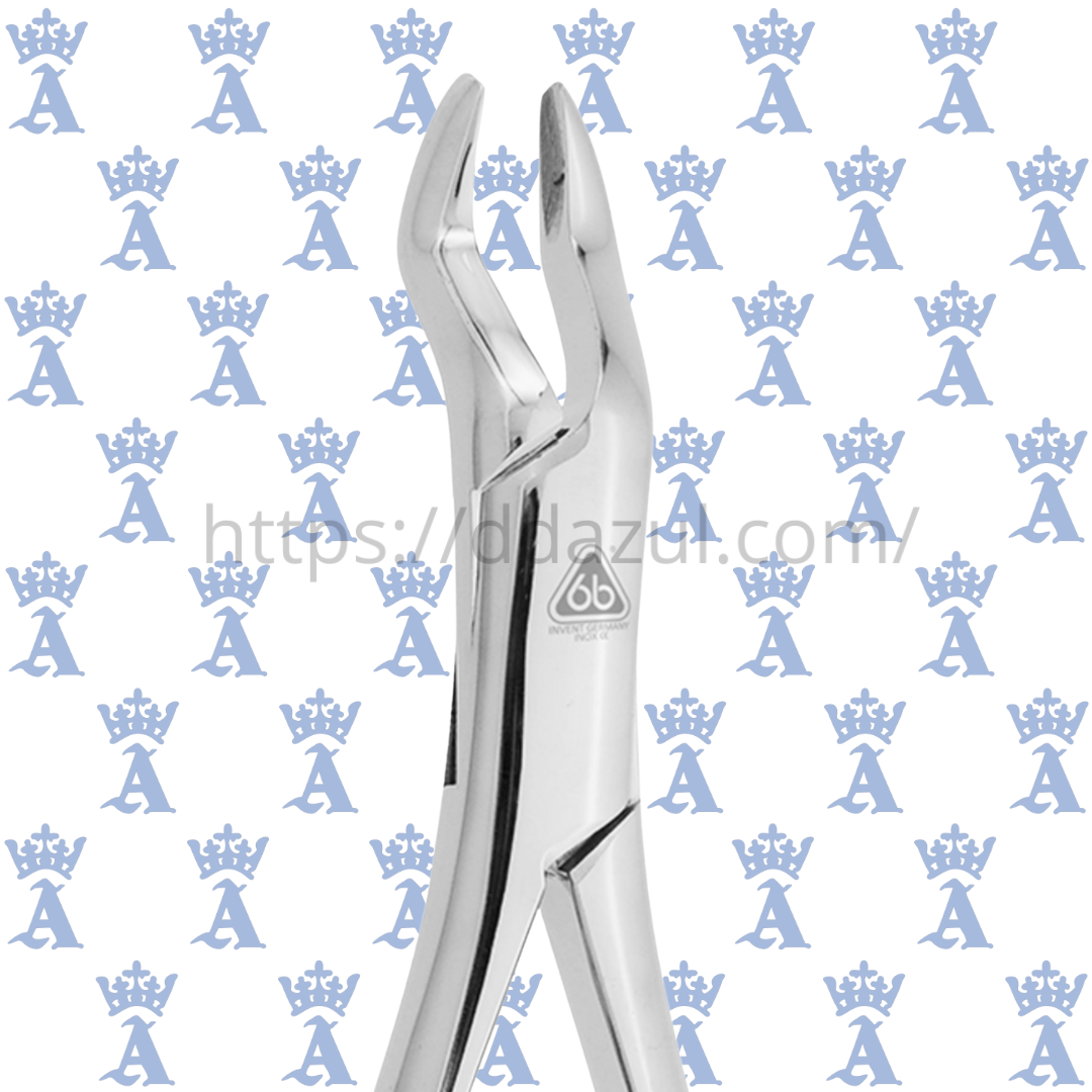 FORCEP ADULTO 10S