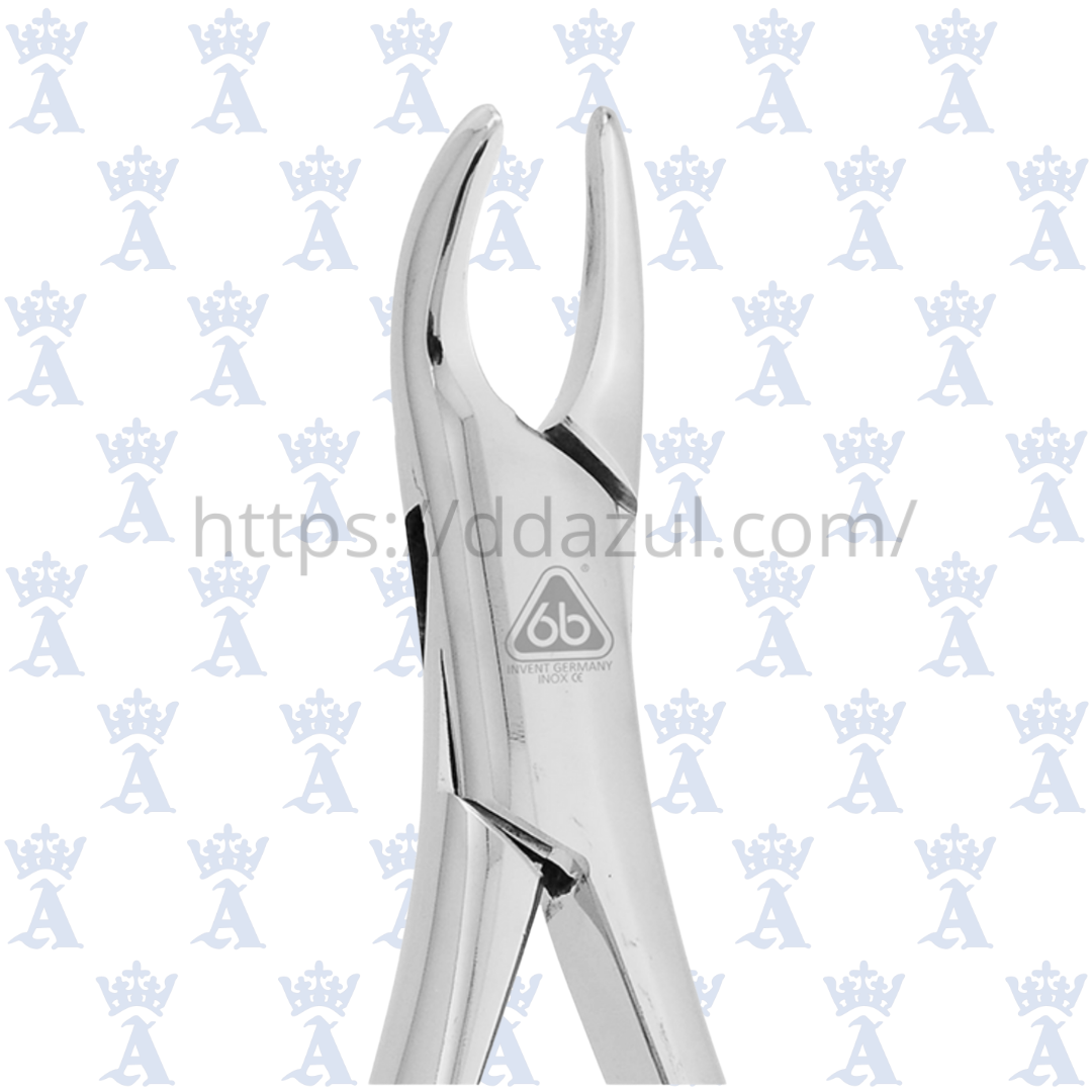 FORCEP #150 6B