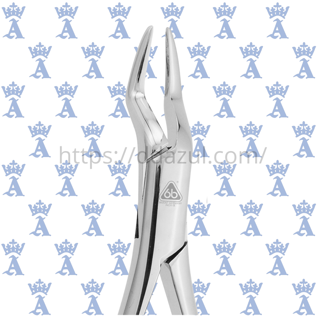 FORCEP #65 6B
