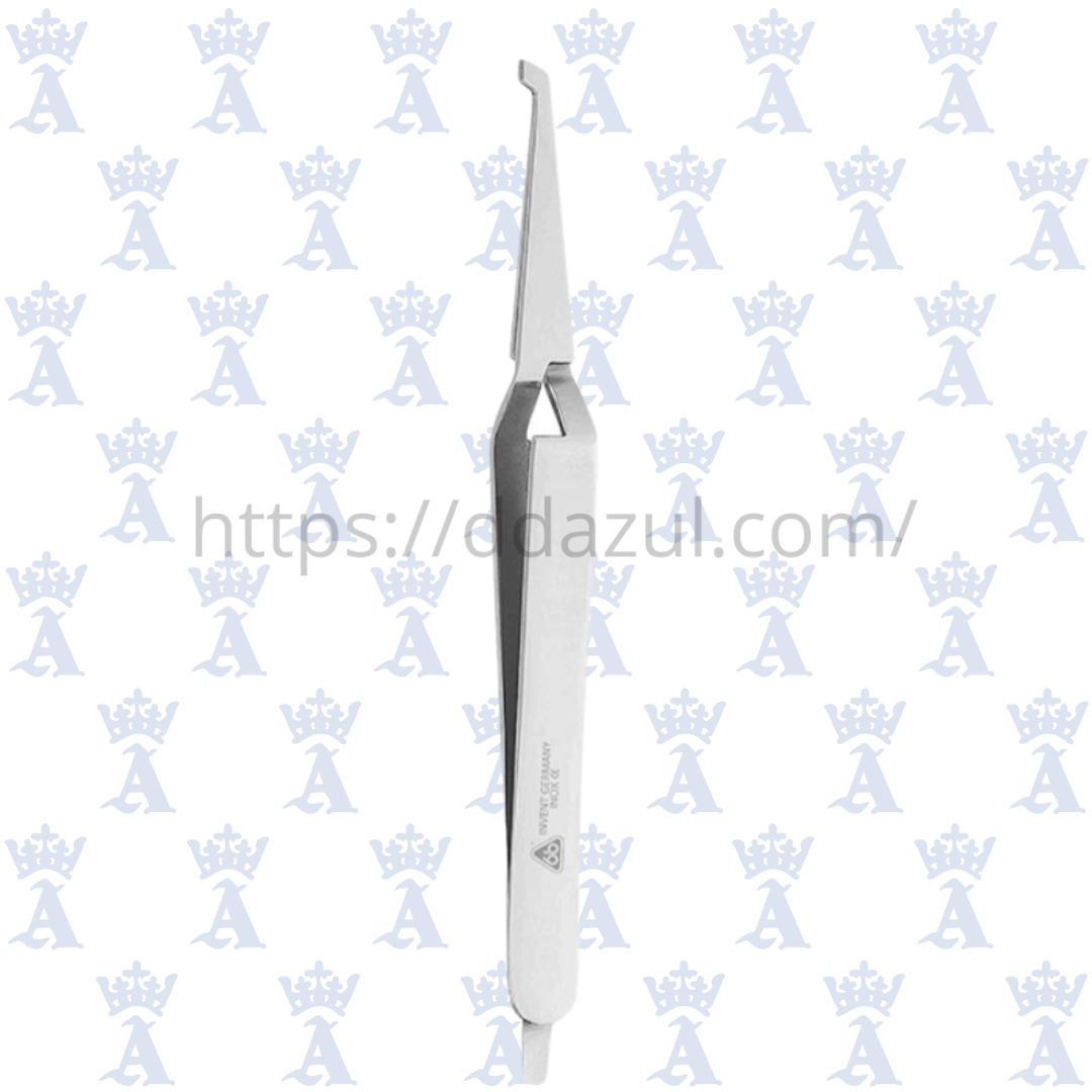 PINZA PORTA BRACKET CURVA 6B