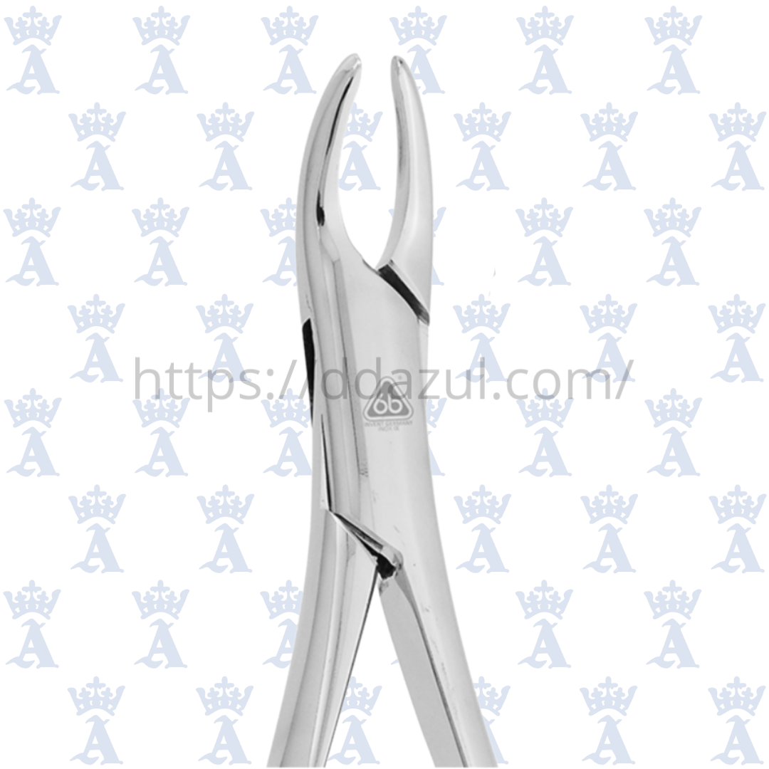 FORCEP #101 6B