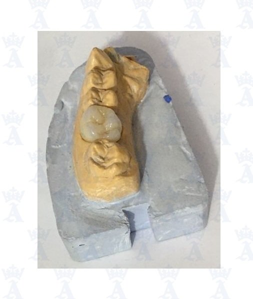 CAMBIO DE COLOR O AJUSTE A DOMICILIO