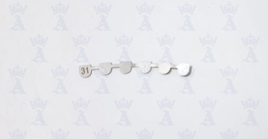 RETENEDOR LEONE 31MM PZA