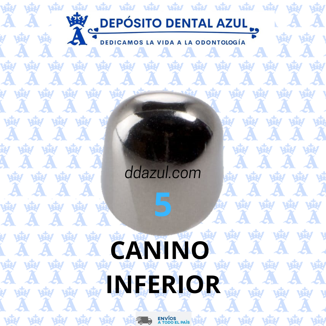 CORONA DE ACERO L5 CANINO INF