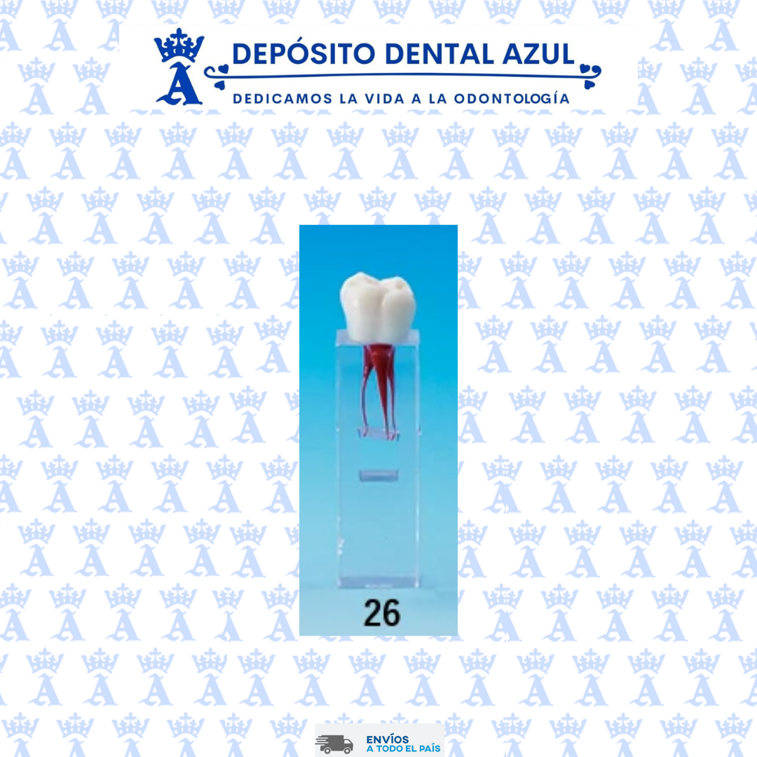 CUBO ENDO NISSIN COND/RADIC 26-RRE