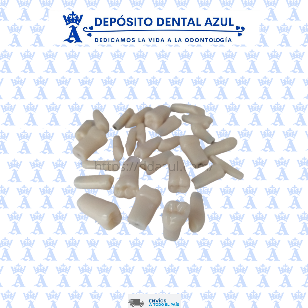 JUEGO DE DIENTES C/28 P/TIPODONTO NISSIN