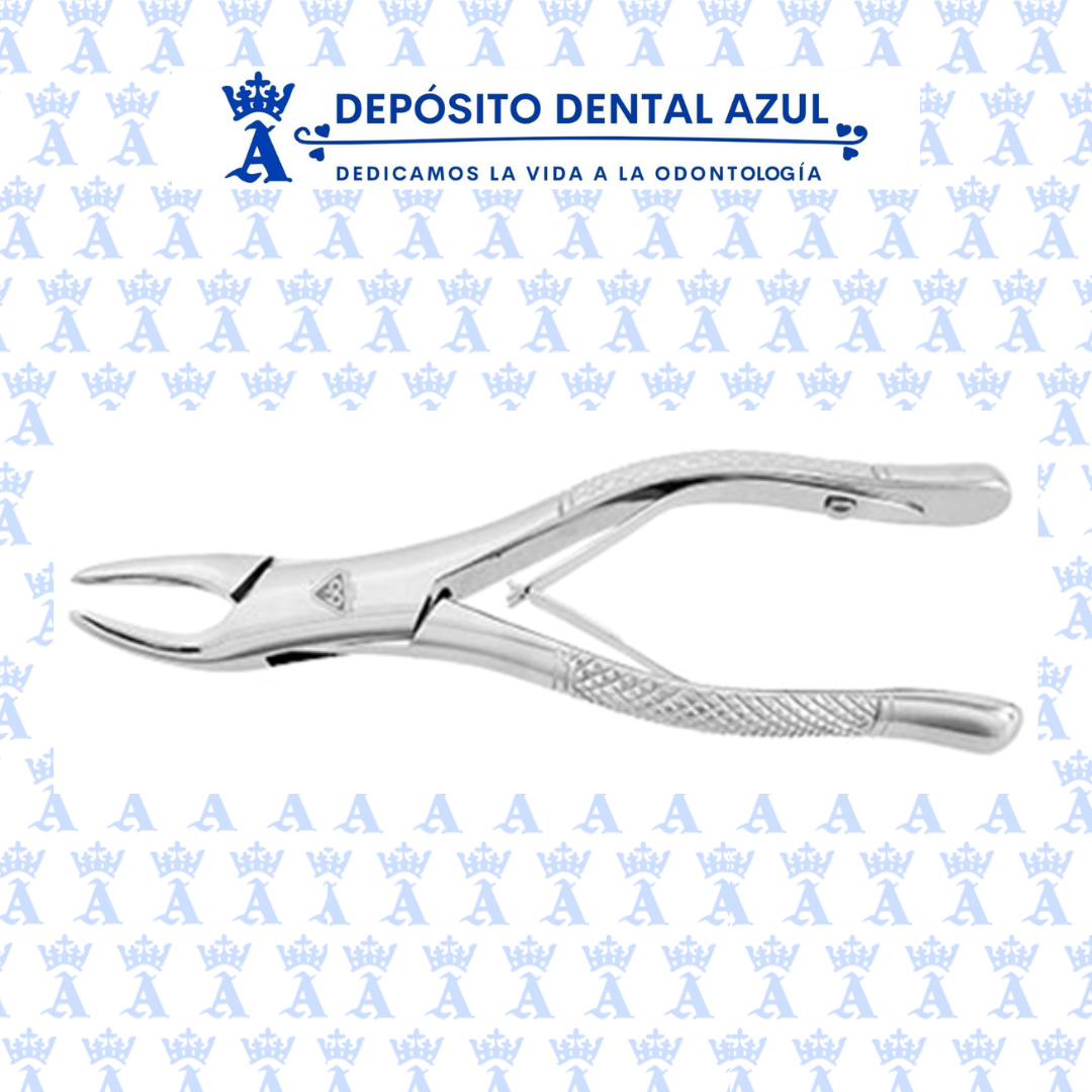 ALVEOLOTOMO 13 CM 6B