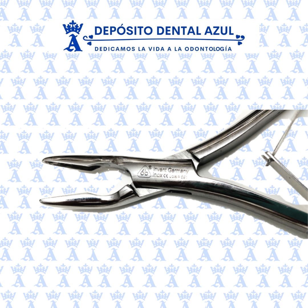 ALVEOLOTOMO 13 CM 6B