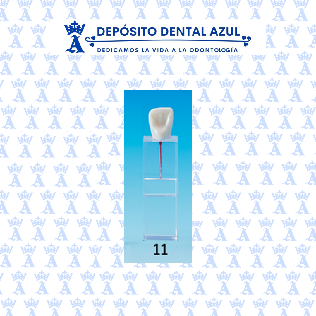 CUBO ENDO NISSIN COND/RADIC 11-RRE