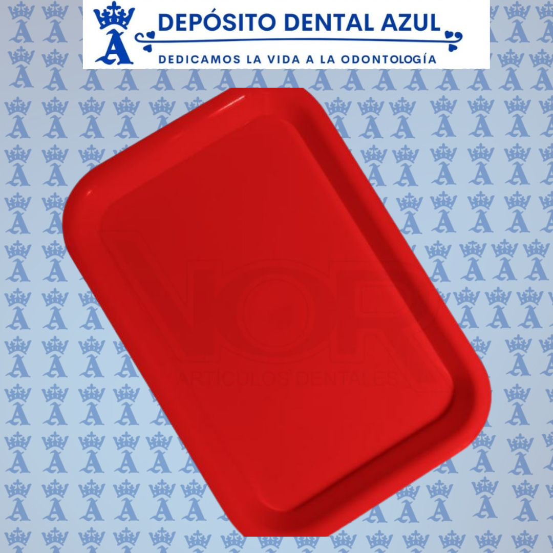 CHAROLA DE PLASTICO LISA GRANDE VOR