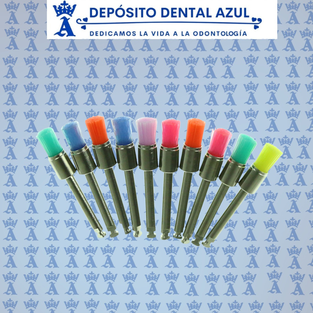 CEPILLO PROFILAXIS SC002 COLORES C/100 R