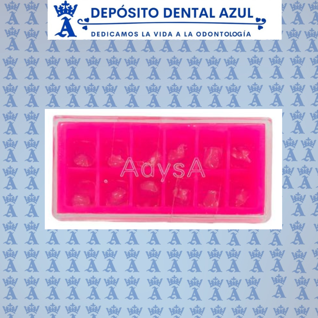 FUNDA CELULOIDE CANINO