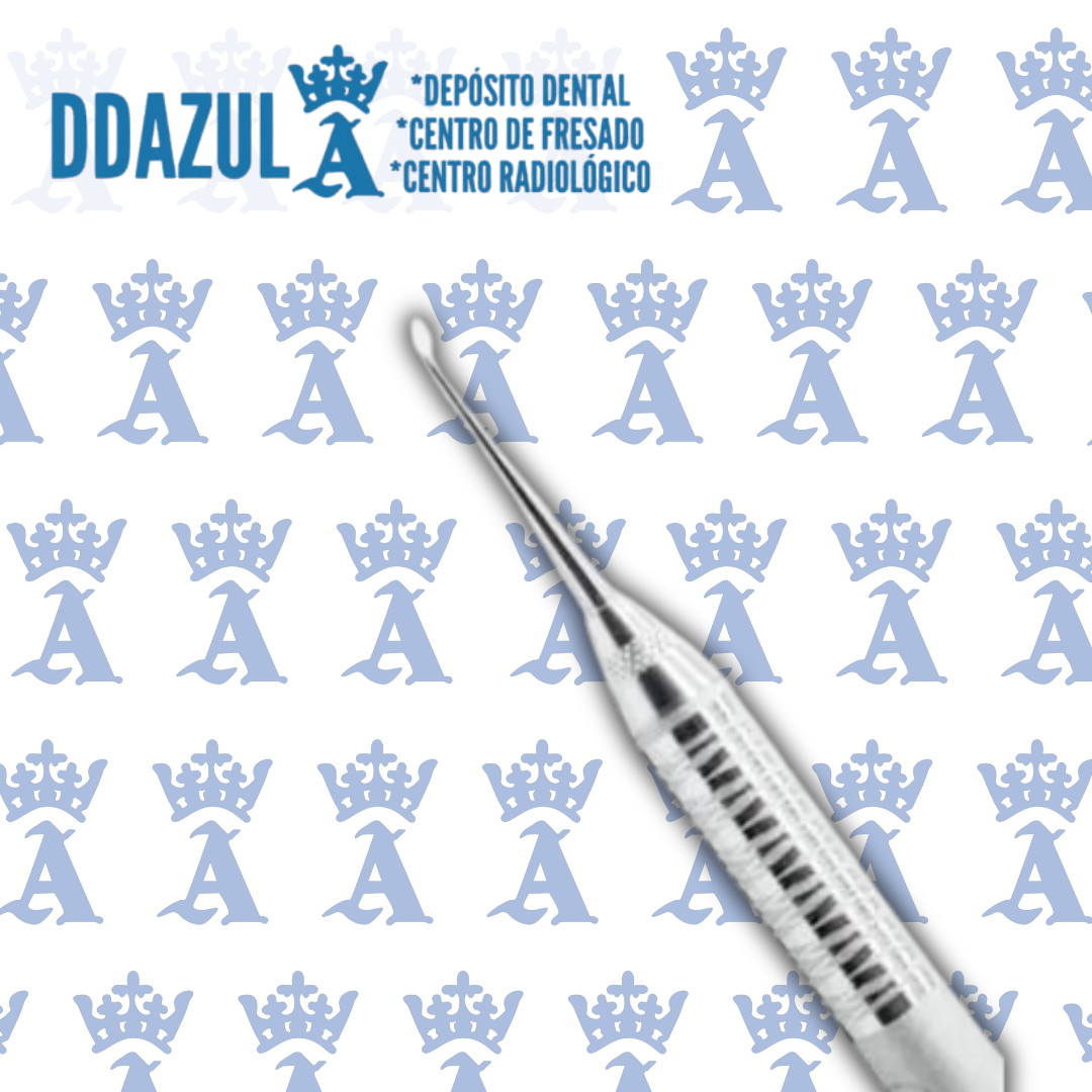 CD4/56 CLEOIDE DISCOIDE HU MANGO 6