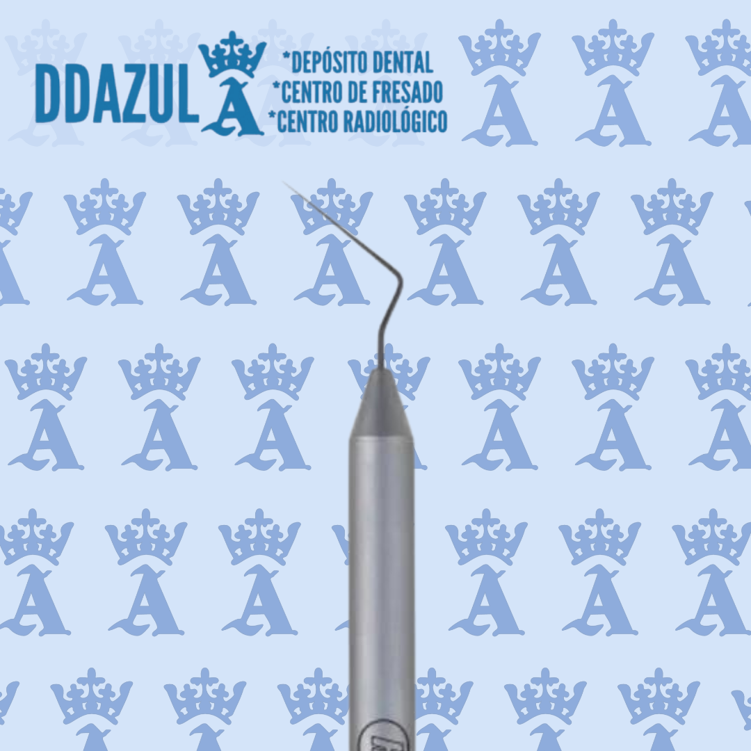 RCSD11T6  EXPLORADOR D11T6 HU