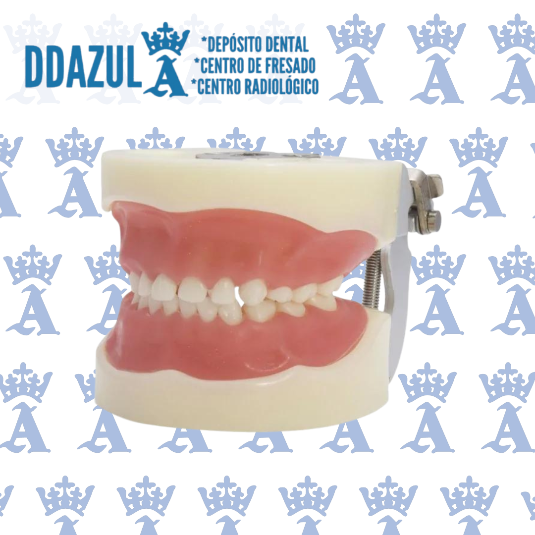 TIPODONTO NISSIN PEDIATRICO