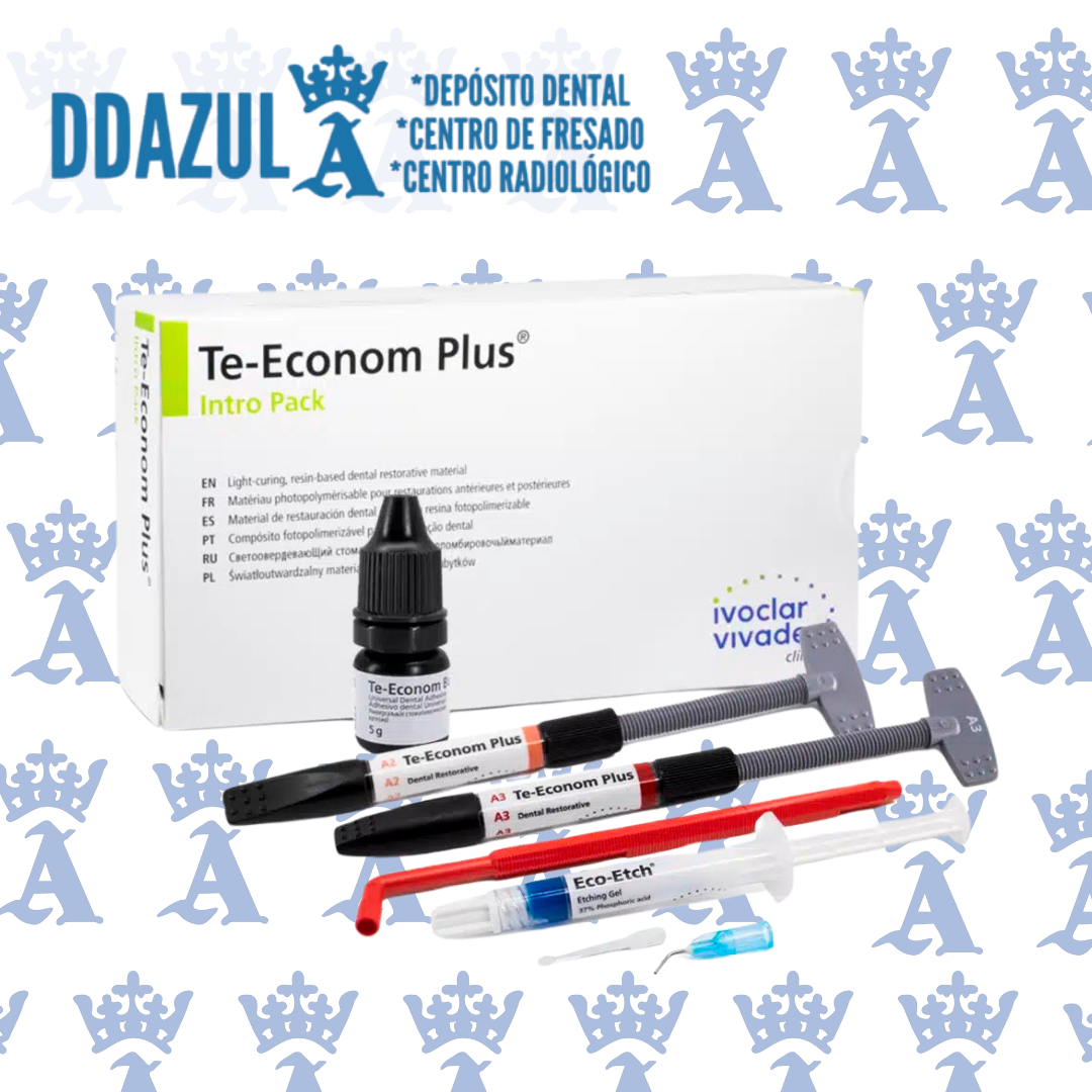 TE ECONOM PLUS INTRO PACK 2X4G